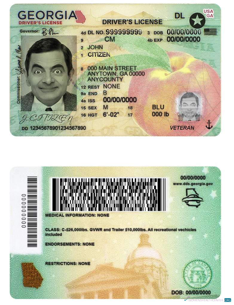 download USA Georgia DL (2019   present)